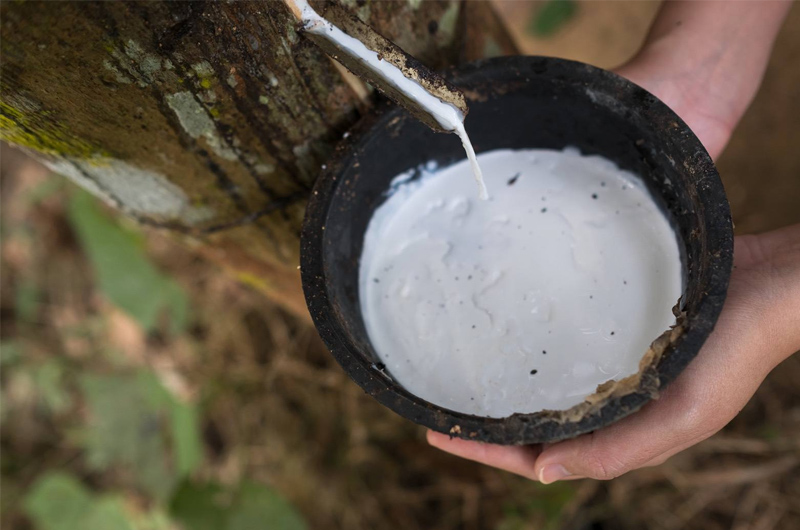 那么我們?cè)谶x購(gòu)時(shí)要如何鑒別天然乳膠寢具呢？乳膠鑒別專家教你以下幾招輕松搞定：